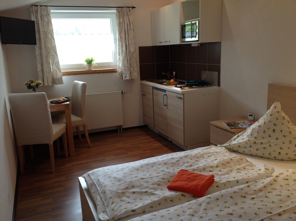 Basic Studio, 1 Double Bed, Mountain View