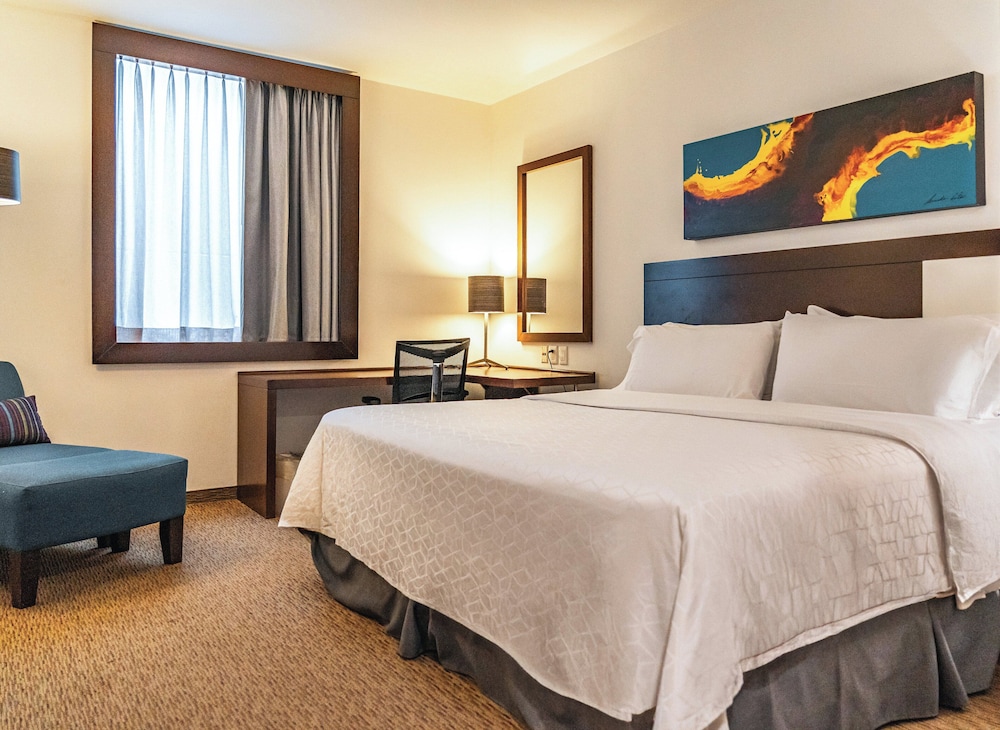 Suite - Photo 1