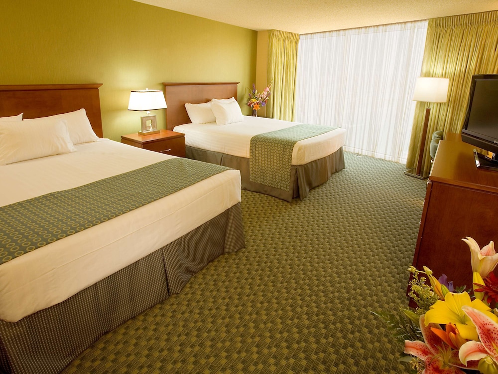(Bed type assigned at check in) - Photo 2