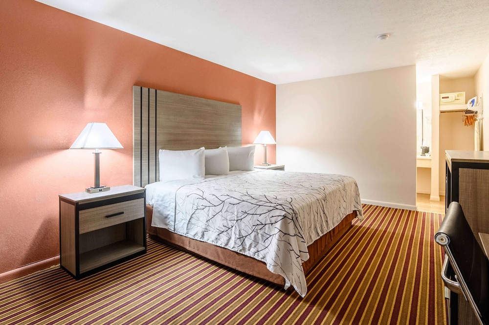 Room, 1 King Bed, Non Smoking photo 2