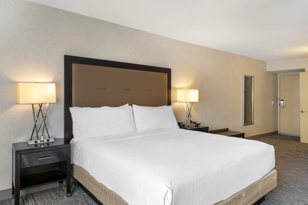 Standard Room, 1 King Bed, Accessible (Roll-In Shower) - Photo 6