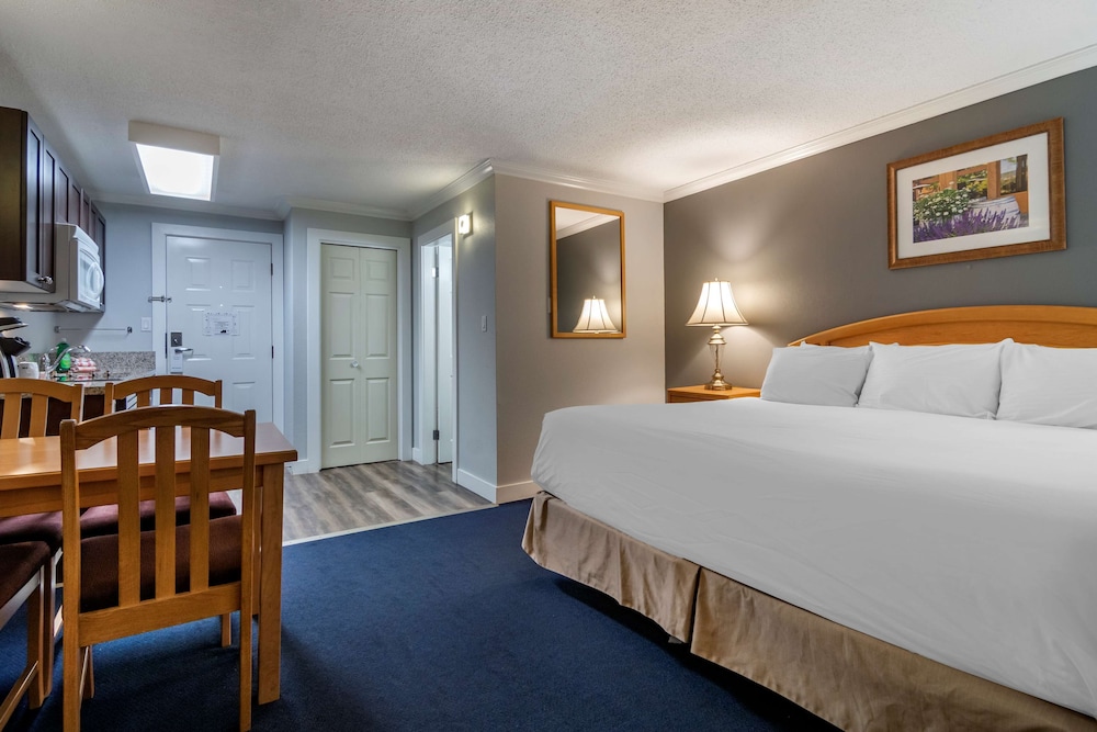 Standard Room, 1 Queen Bed, Non Smoking, Kitchenette photo 1