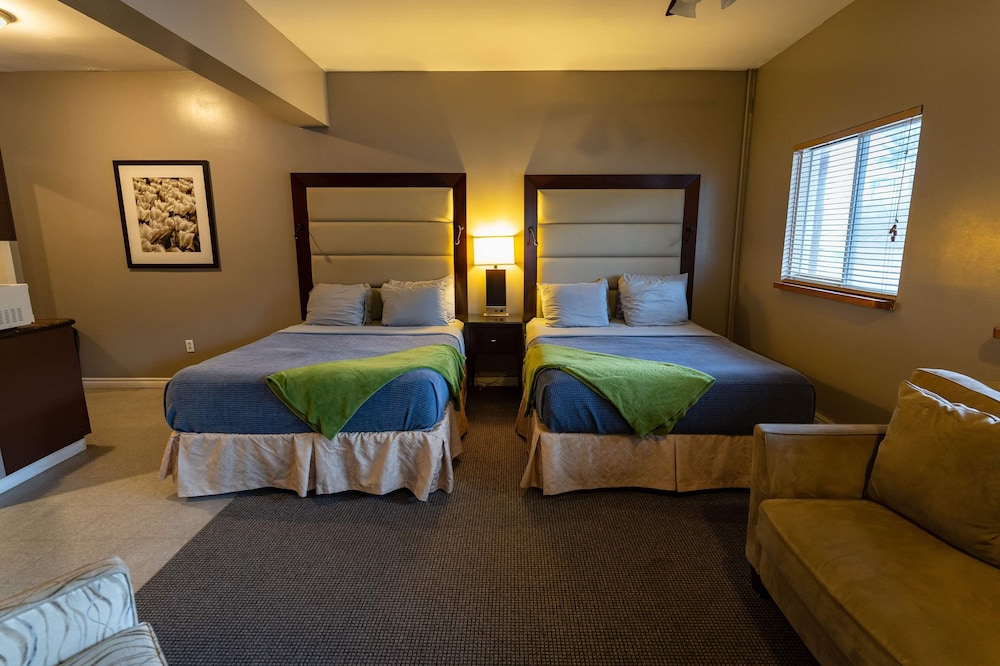 Family Suite - Photo 1