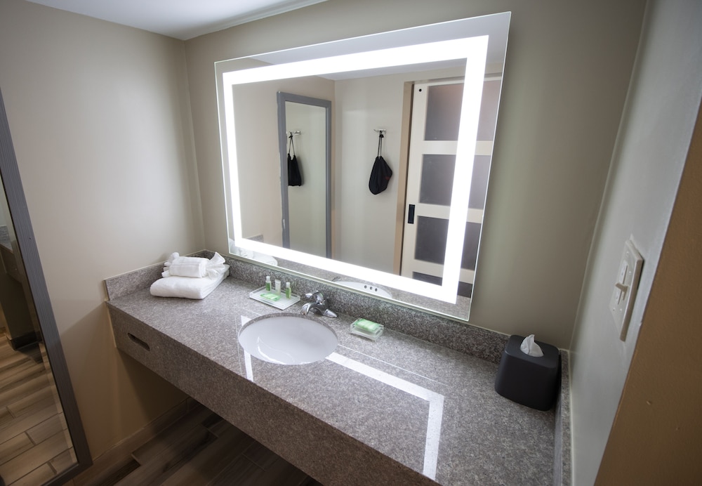 Suite, 1 King Bed (Additional Living Area) - Photo 8