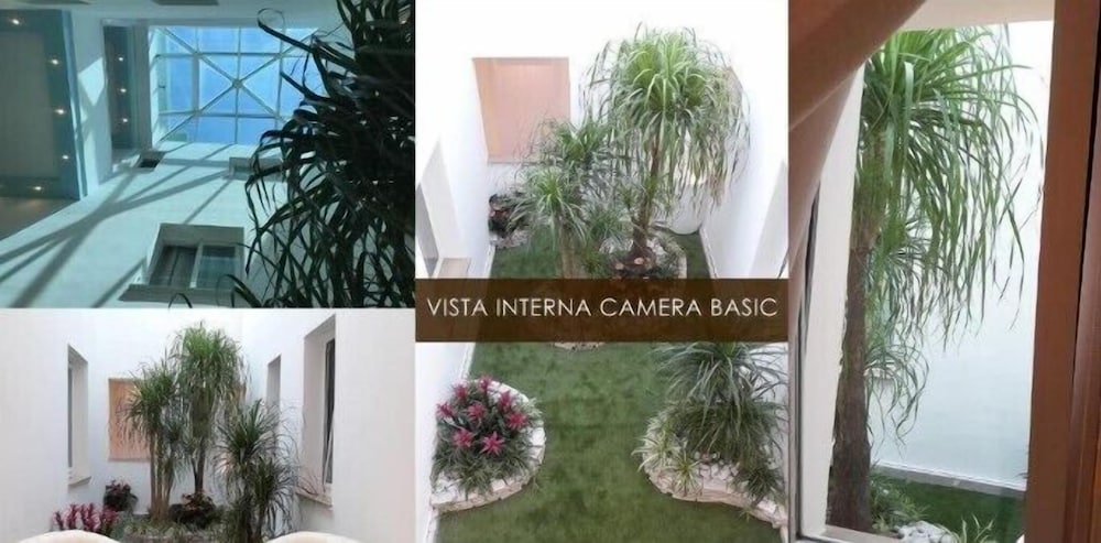 Basic Double or Twin Room