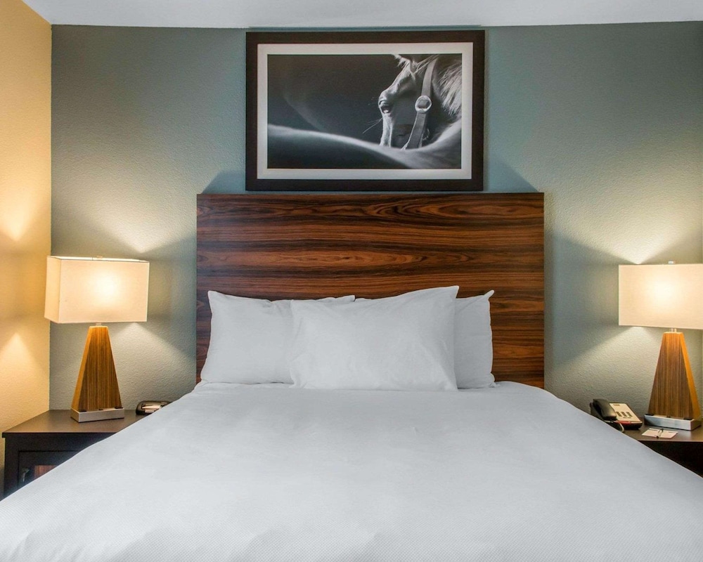 Suite, 1 Queen Bed with Sofa bed, Non Smoking (2 Person Sofa Bed)