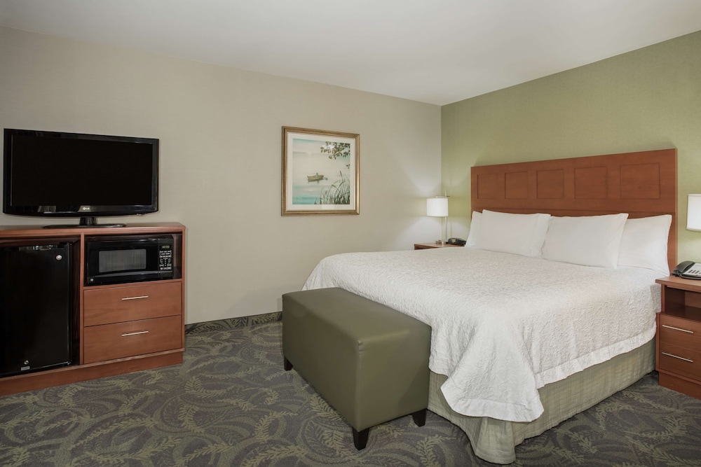 Room, 1 King Bed, Accessible (Hearing) photo 3