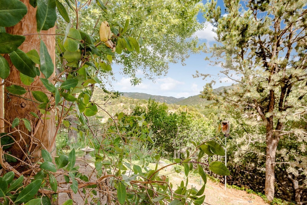 House (Canyon View Retreat - All Adobe Home,) photo 3