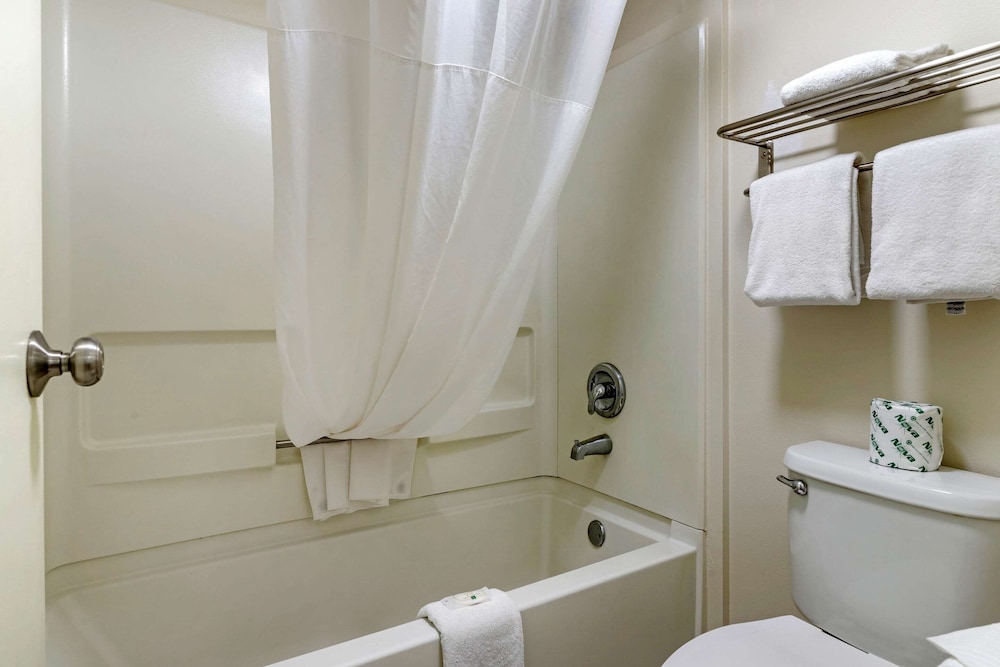 Room, Multiple Beds, Non Smoking - Photo 5