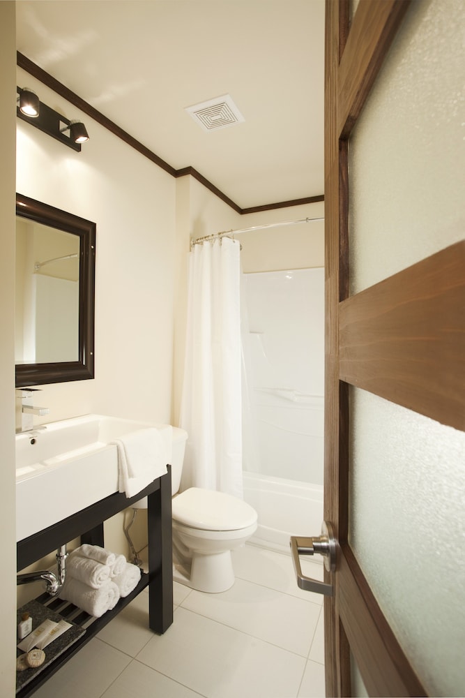 Premier Room, Multiple Beds (Notik)