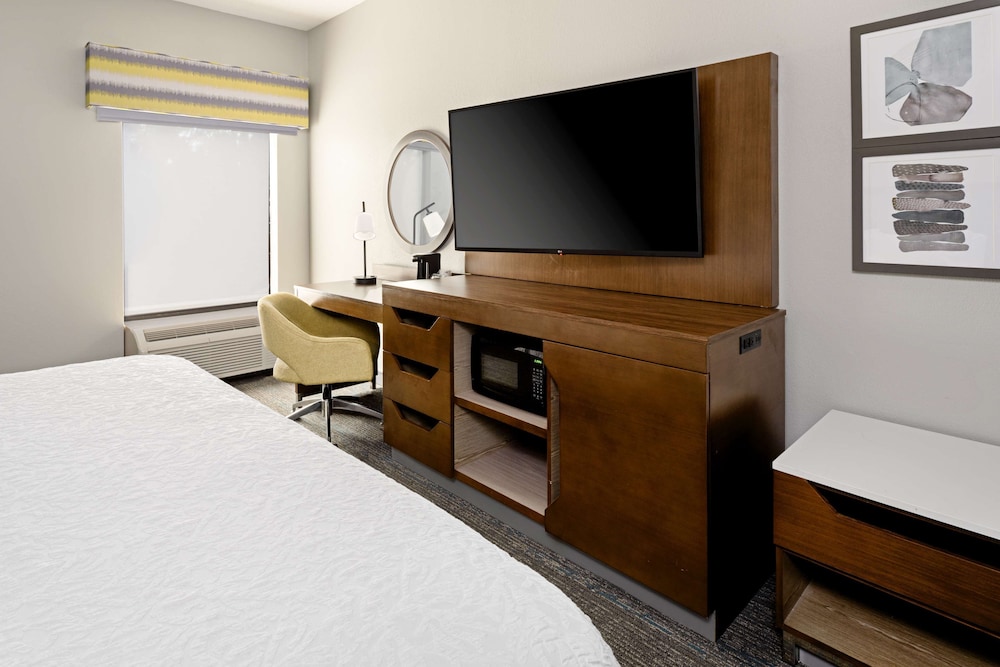 Classic Room, 1 King Bed, Accessible (Mobility Room - Roll In Shower) - Photo 6