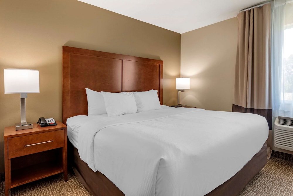 Suite, 1 King Bed with Sofa bed, Non Smoking - Photo 6