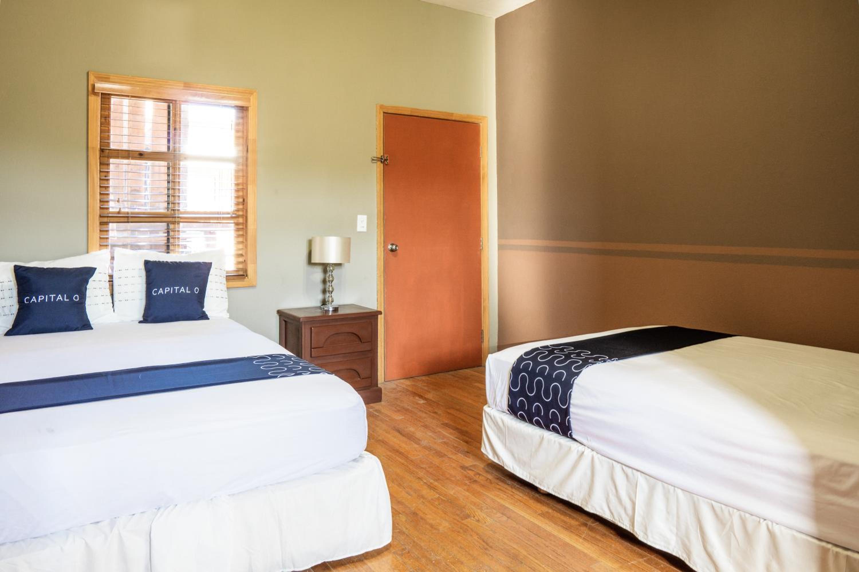 Twin Room photo 1
