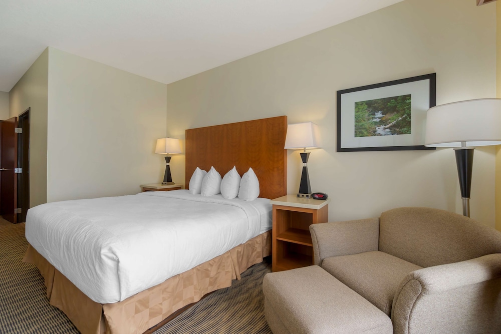 Standard Room, 1 King Bed, Accessible, Non Smoking photo 3