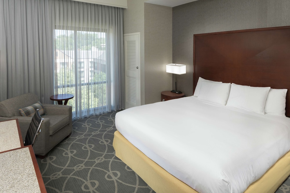 Premium Room, 1 King Bed, Accessible, Non Smoking - Photo 4