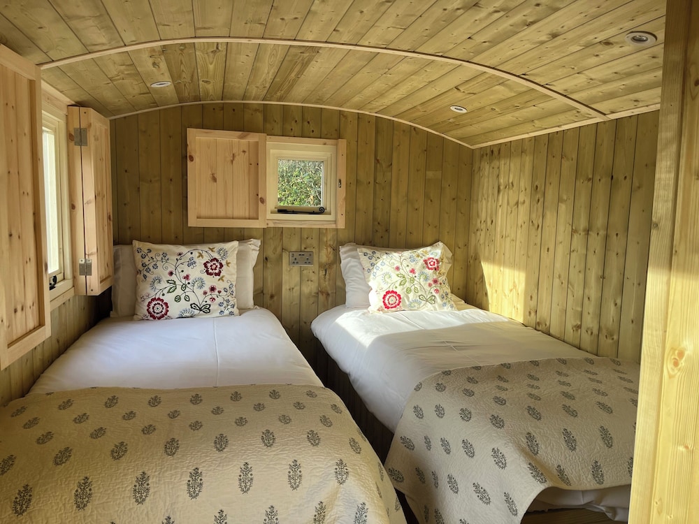 Deluxe Cabin photo 1