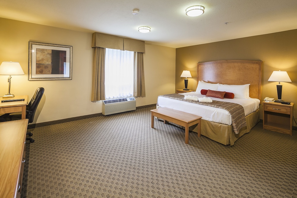 Room, 1 King Bed, Mobility Accessible