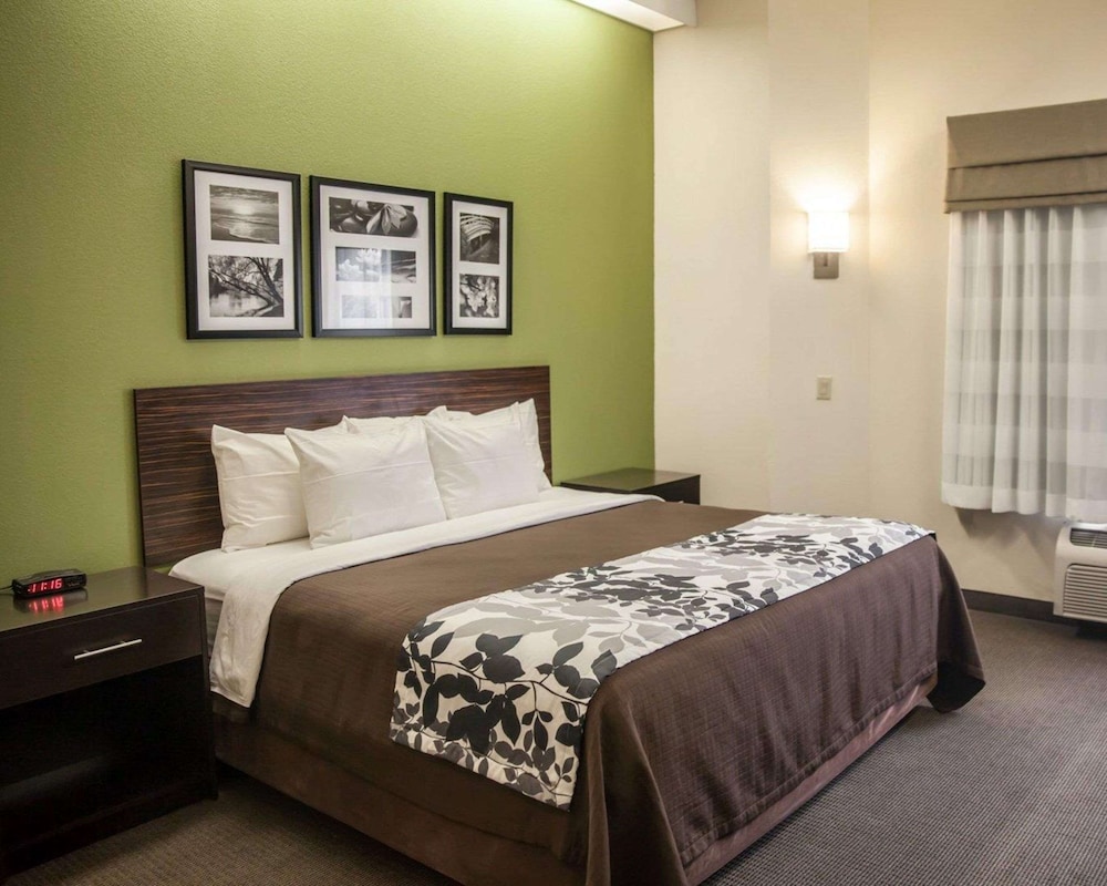Standard Room, 1 King Bed, Non Smoking - Photo 5