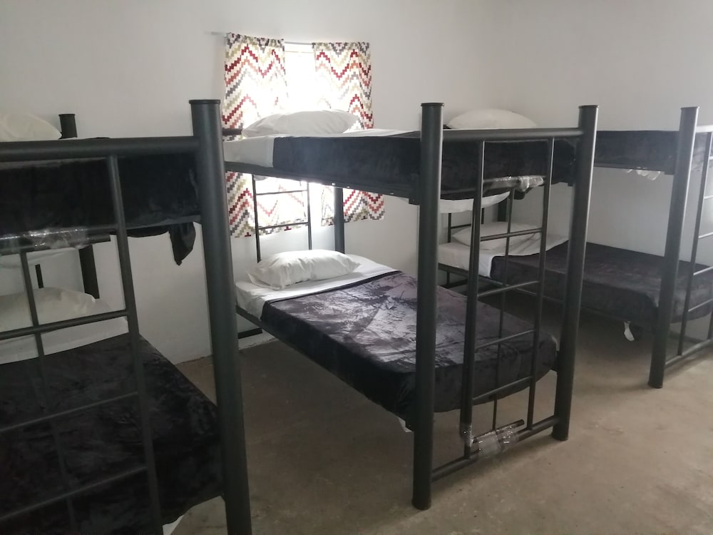Basic Shared Dormitory photo 2