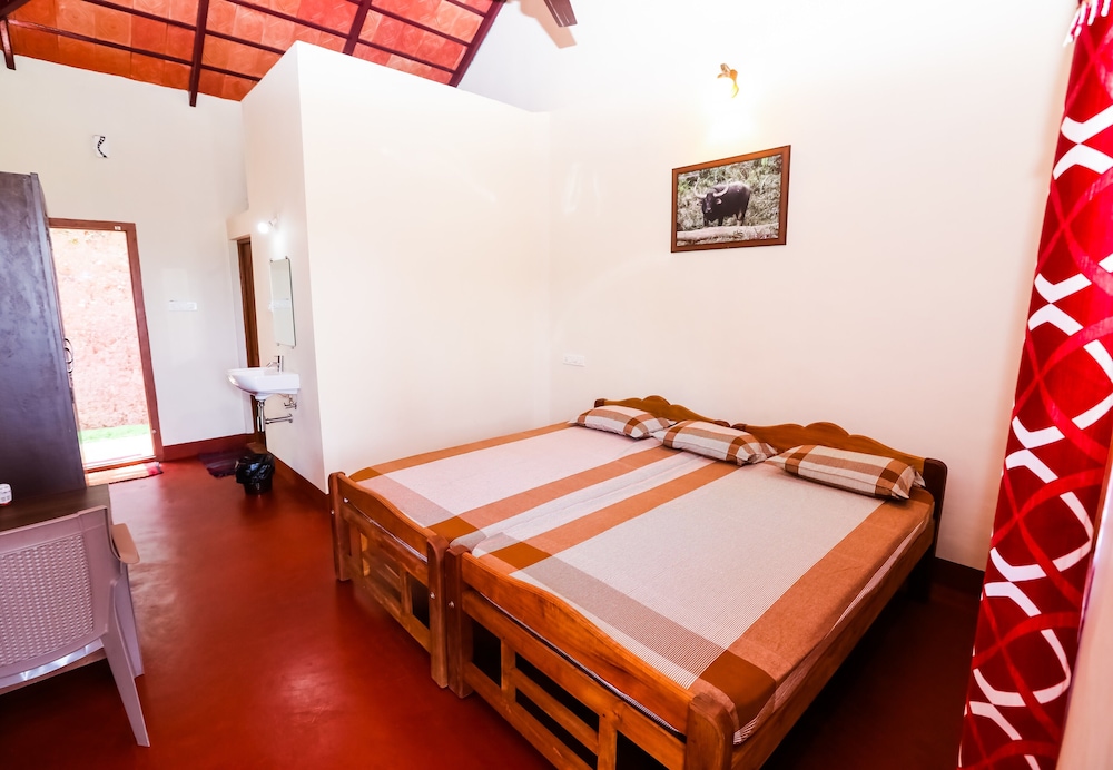 Basic Double Room, Mountain View