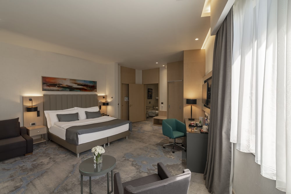 Standard Room, 1 King Bed, Accessible, Non Smoking photo 2