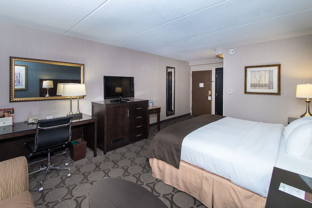 Room, 1 King Bed, Accessible, Bathtub (Mobility & Hearing)