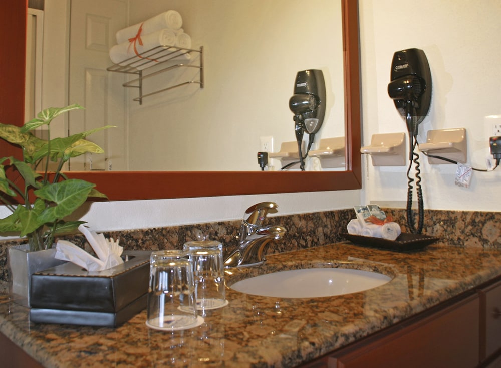 Standard Suite, 1 Bedroom photo 3