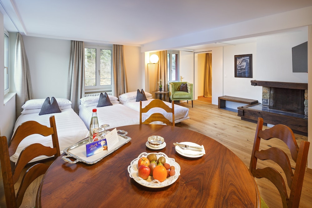 Suite without Balcony (Forest view, located at the rear of the Hotel) - Photo 3