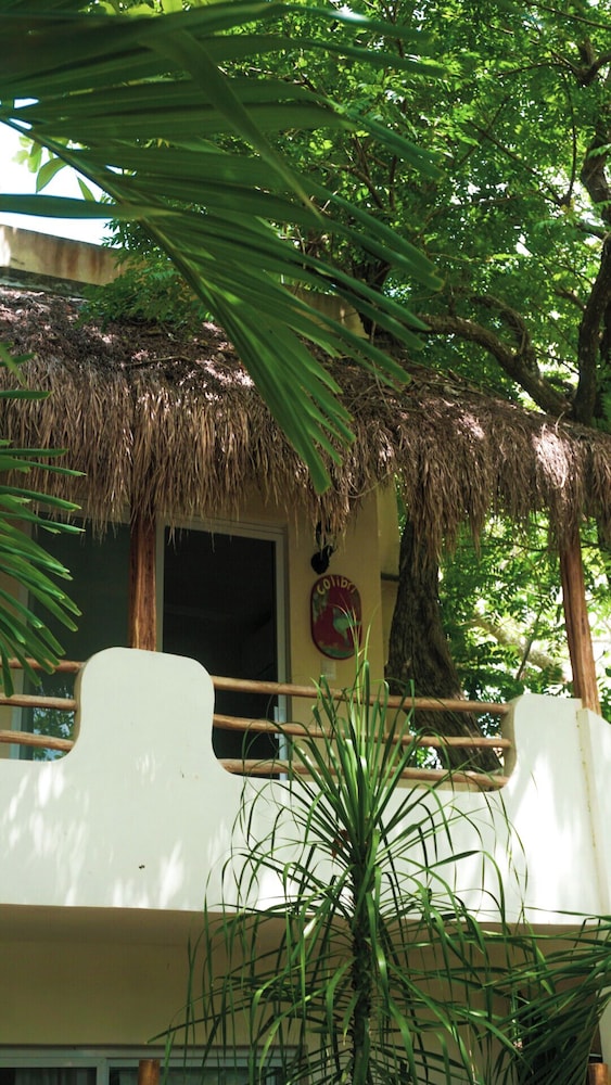 Single Room - Photo 6