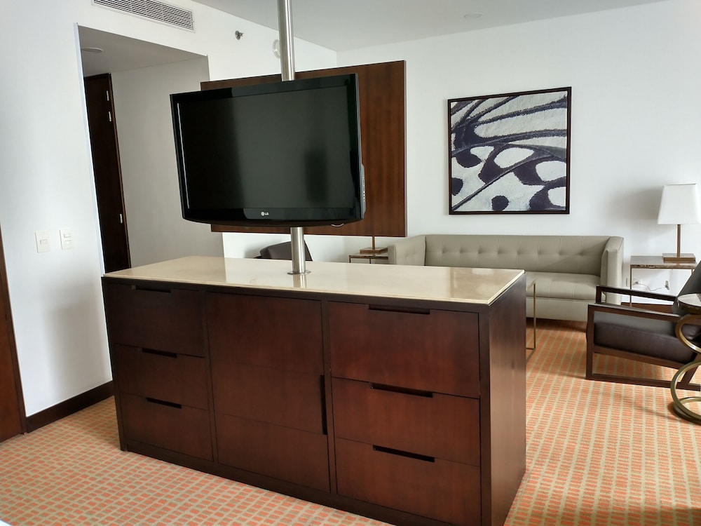 Suite, 1 King Bed photo 3