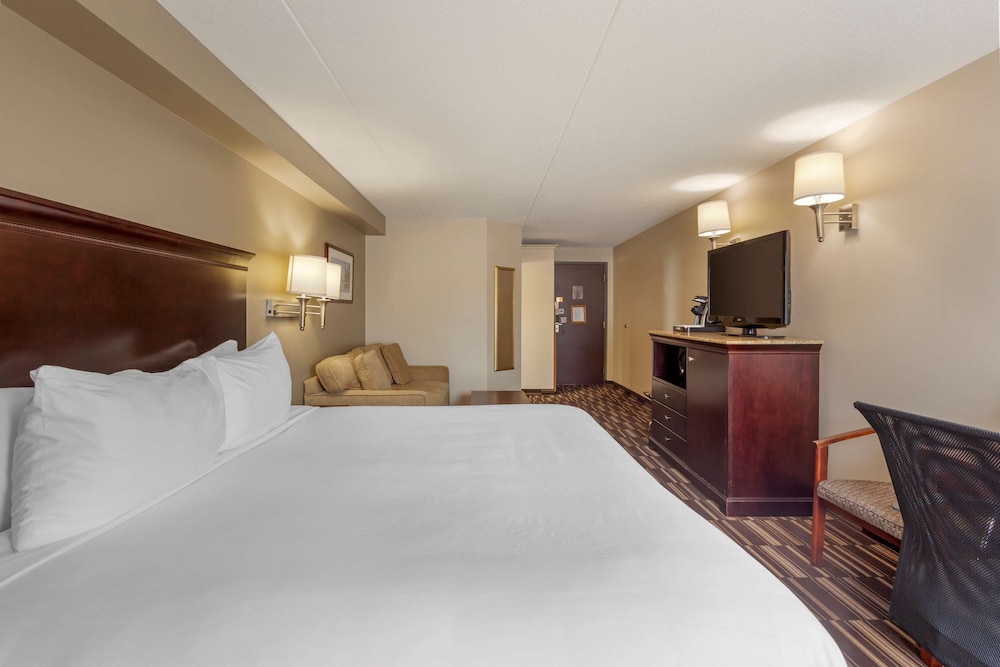 Standard Room, 1 King Bed, Non Smoking, Refrigerator & Microwave (with Sofabed) - Photo 1