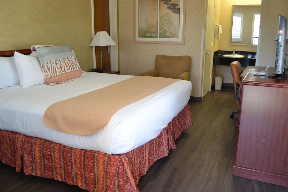 Room, 1 King Bed photo 1