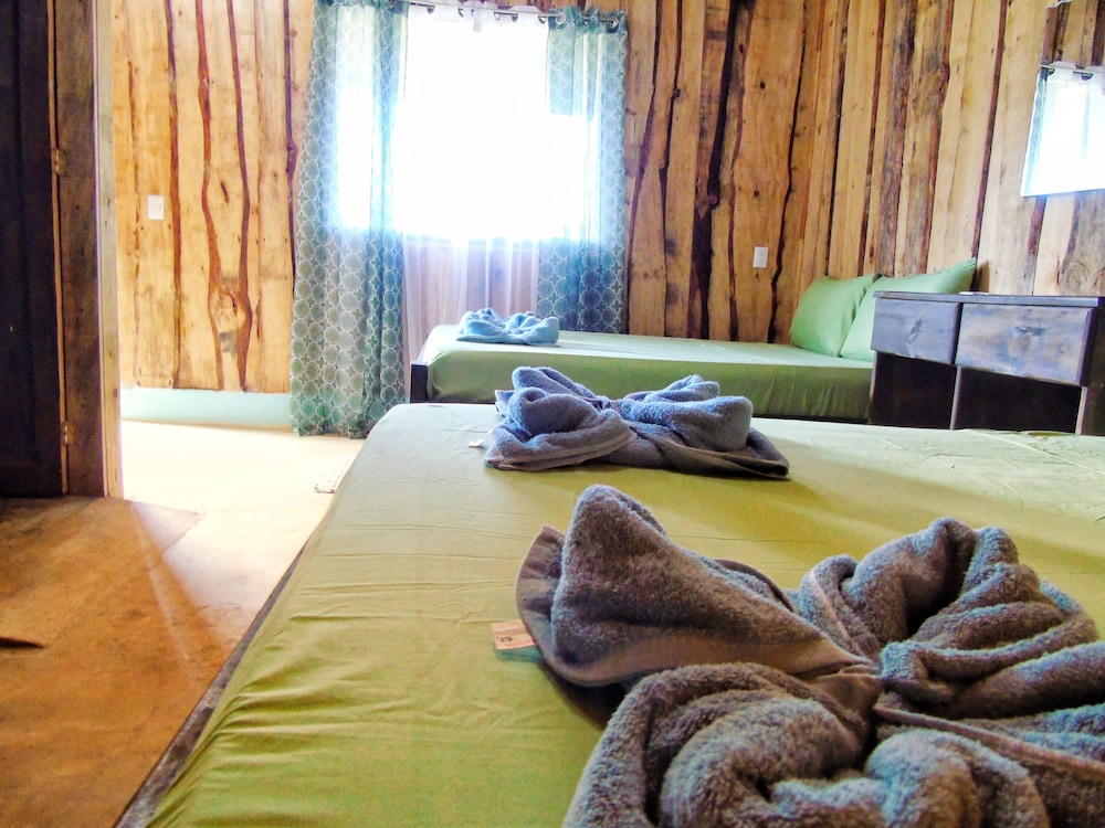 Premium Room photo 3