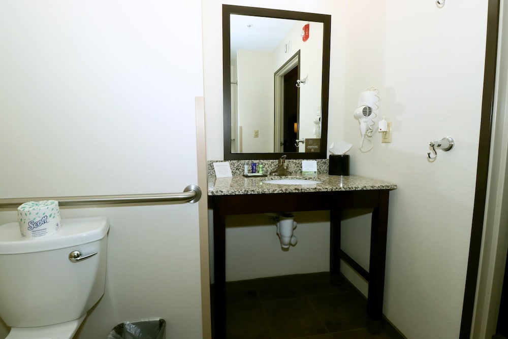 Room, 1 King Bed, Accessible, Non Smoking photo 3
