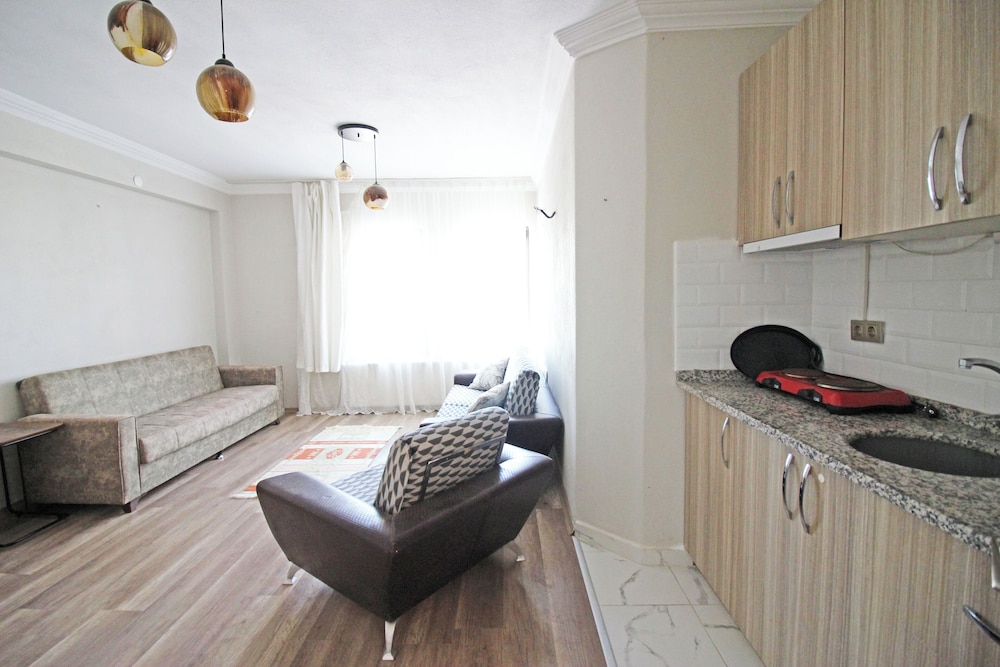 Standard Apartment photo 2