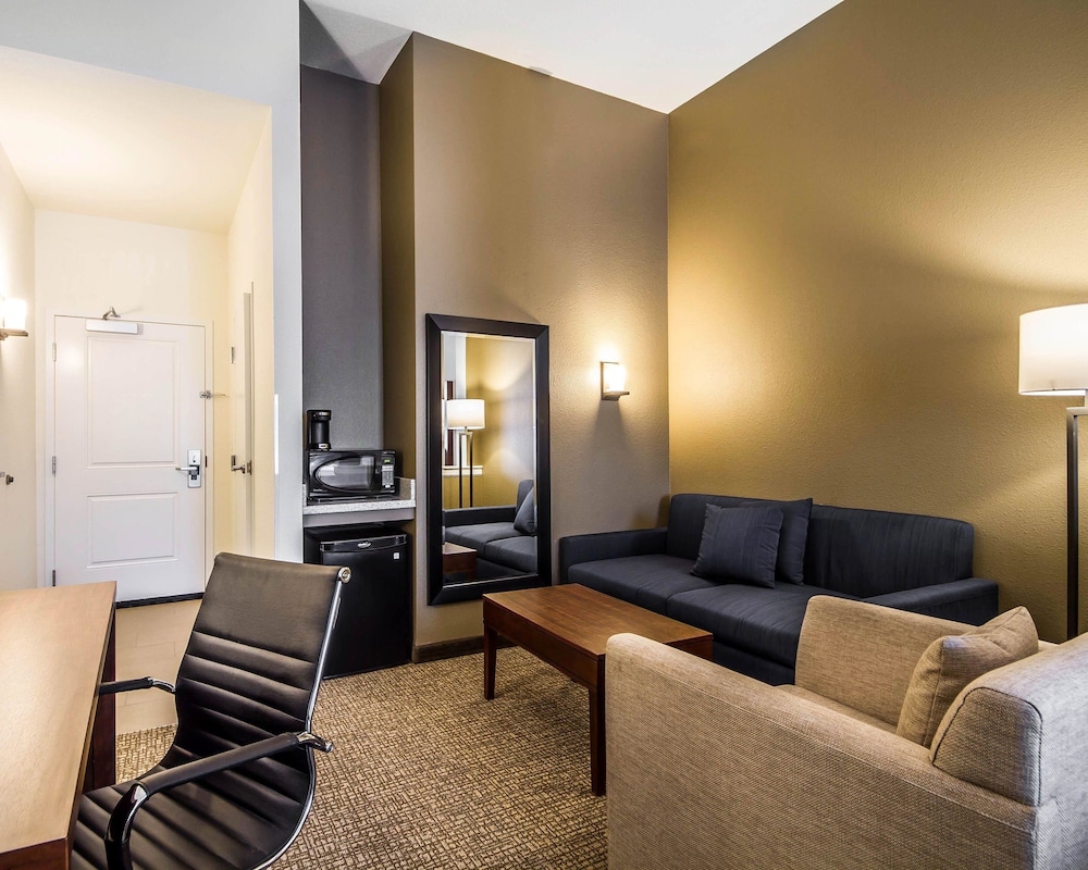 Suite, 1 King Bed with Sofa bed, Accessible, Non Smoking photo 2