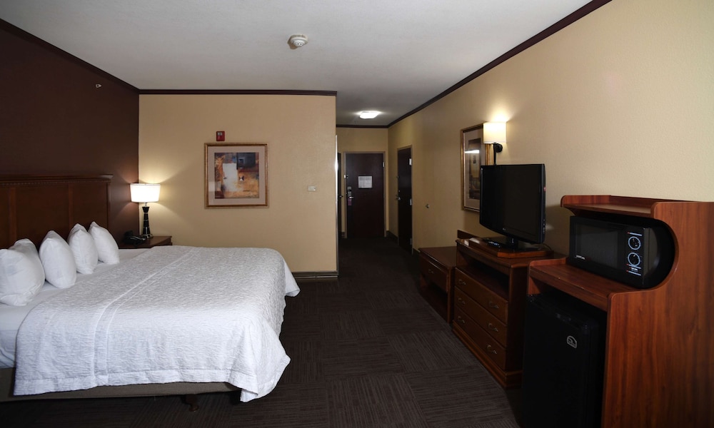 Room, 1 King Bed, Accessible - Photo 7
