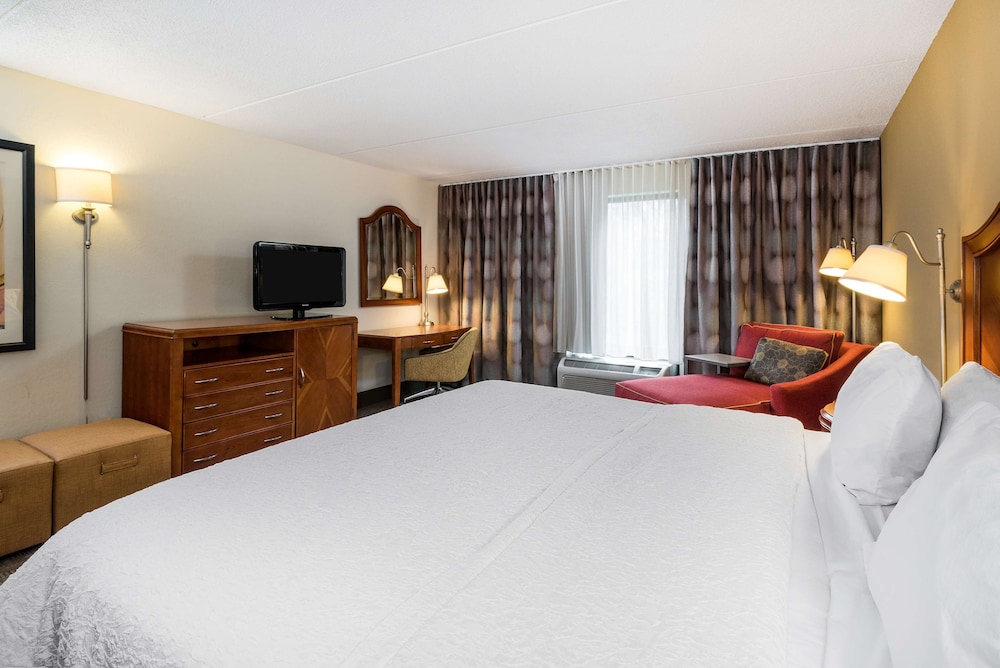 Room, 1 King Bed