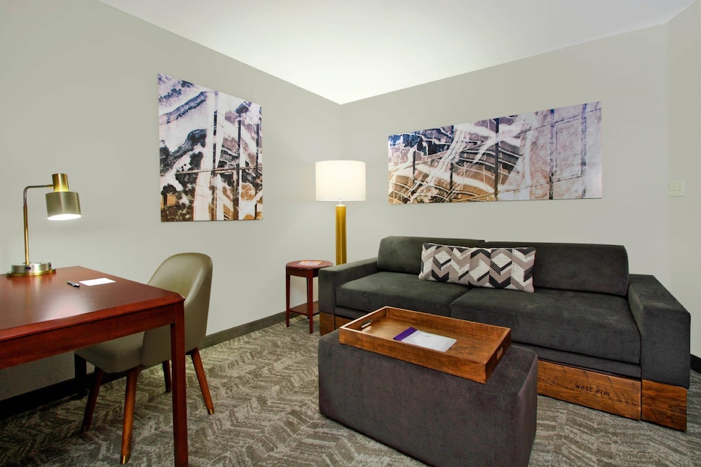 Studio Suite, 1 King Bed with Sofa bed (Hearing Accessible) - Photo 7
