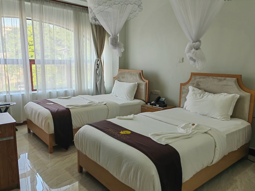 Deluxe Double or Twin Room, City View