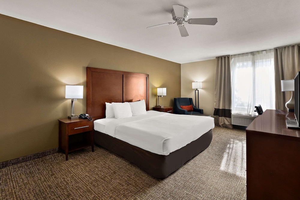 Deluxe Room, 1 King Bed, Non Smoking, Refrigerator & Microwave - Photo 1