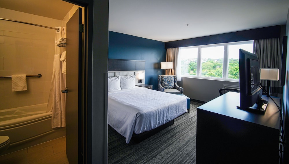 Standard Room, 1 King Bed, Refrigerator & Microwave, Lake View (Pet Friendly) - Photo 2