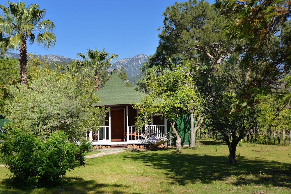 Comfort Bungalow, Kitchen
