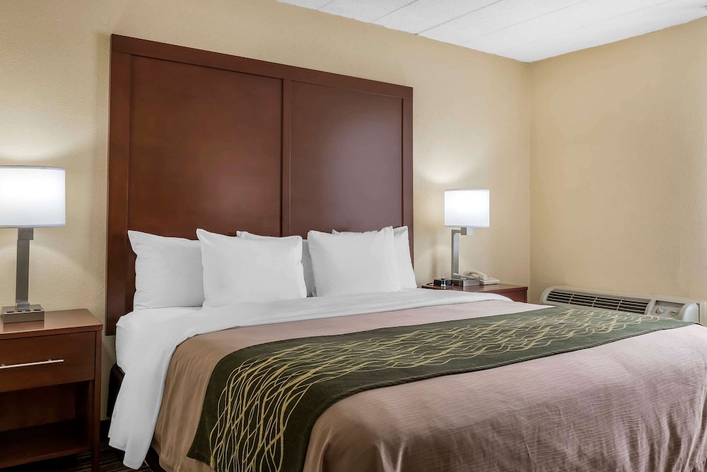 Standard Room, 1 King Bed, Non Smoking - Photo 2