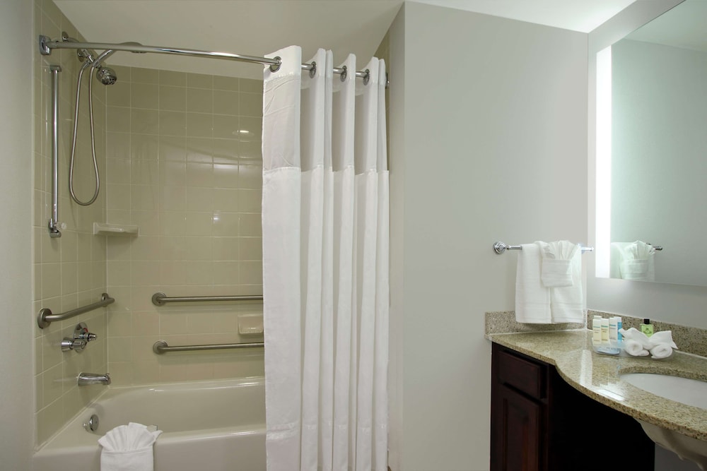 Studio, 1 King Bed, Accessible (Mobility & Hearing, Roll-in Shower) - Photo 10