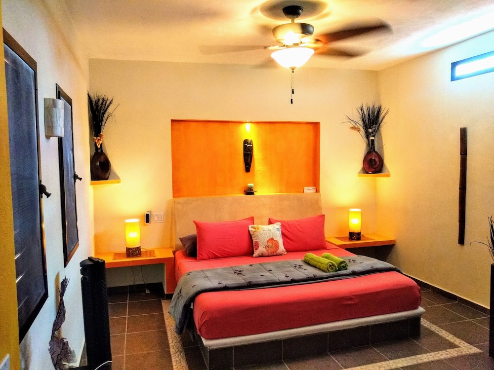 Premier Single Room, 1 King Bed