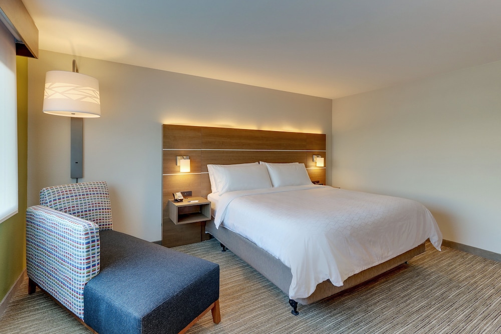 Room, 1 King Bed, Accessible (Roll-In Shower, Extra Floor Space) - Photo 4