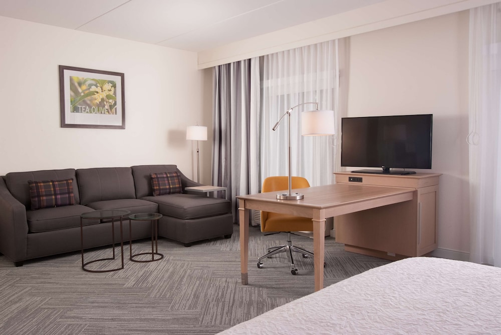 Studio, 1 King Bed, Accessible, Bathtub (Mobility & Hearing)