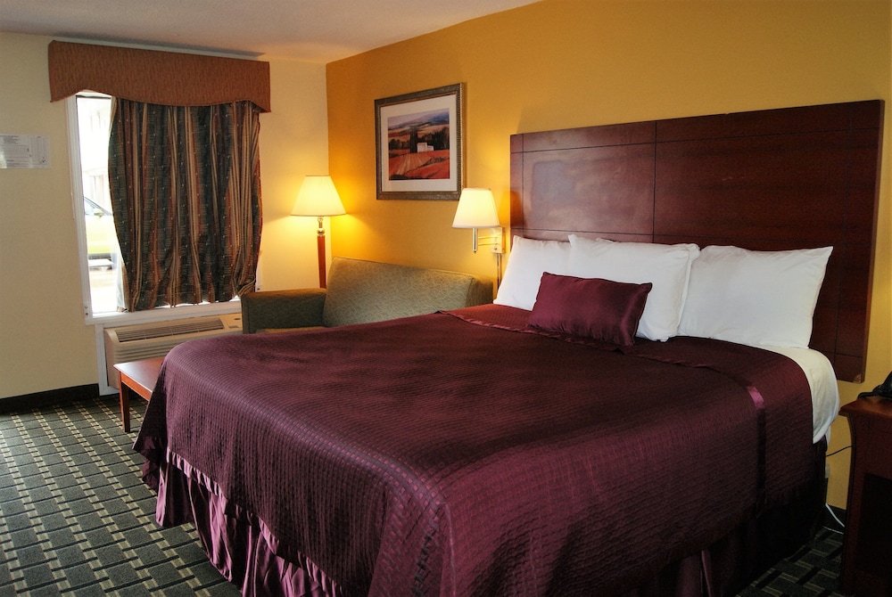 Comfort Room, 1 King Bed photo 3