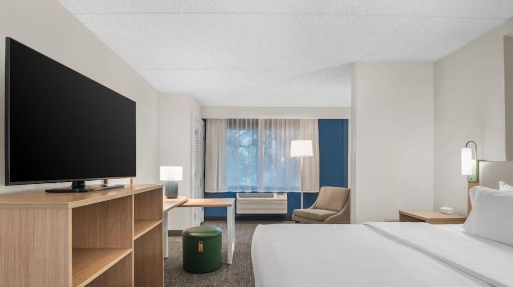 Room, 1 King Bed, Accessible (Mobility, Hearing, Roll-In Shower) - Photo 2